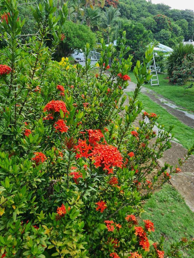 Gîte pour 2 personnes, avec terrasse et vue dans Plage Leroux - 4