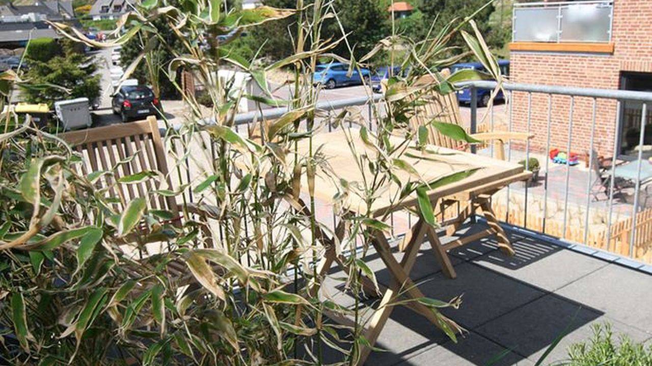 Ganze Ferienwohnung, Ferienwohnung für 4 Personen (48 m²) in Hörnum (Sylt) in Hörnum, Sylt