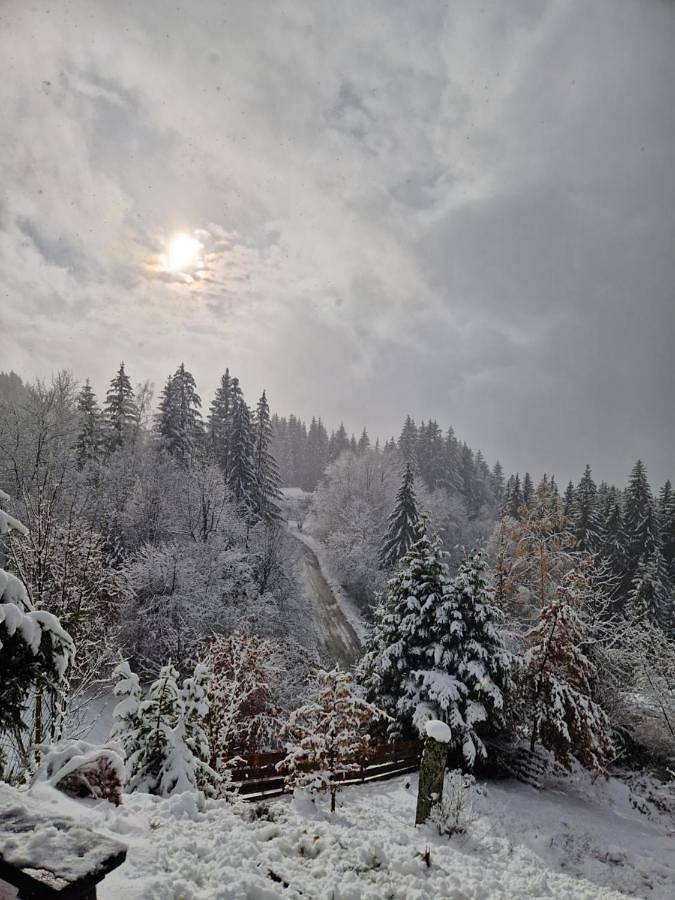 Appartement entier, Alpine 1 bed Chalet with beautiful views in Le Biot, Région de Thonon-les-Bains