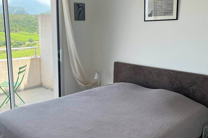 Entire apartment, Superb 3-room apartment with view of the sea, mountains & vineyards in Saint-Florent, Calvi region