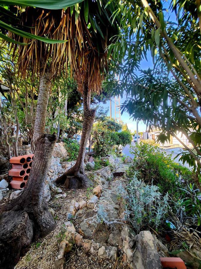 Chambre d’hôte pour 2 personnes, avec piscine et terrasse ainsi que vue et jardin, animaux acceptés à Calpe - 4