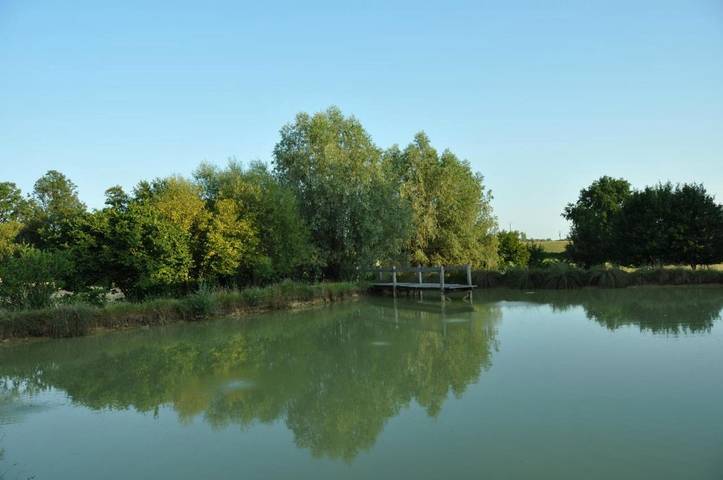 Location de vacances pour 6 personnes, avec jardin ainsi que piscine et vue, animaux acceptés à Saillenard - 2