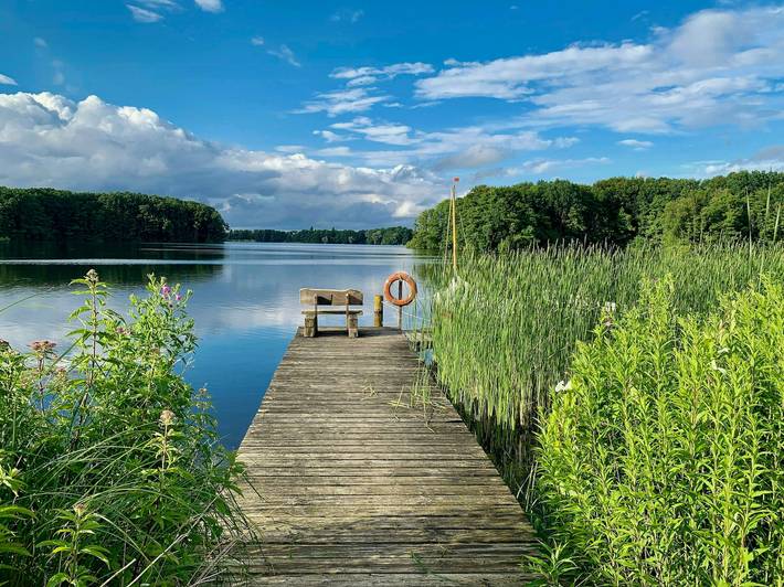 Holzhaus mit Feldblick am Dümmer See in Dümmer (Mecklenburg-Vorpommern), Ludwigslust-Parchim