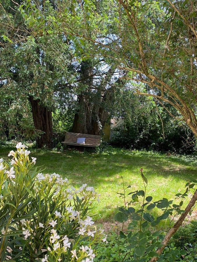 Maison d’hôte pour 2 personnes, avec piscine ainsi que jardin et vue, animaux acceptés dans l' Ain - 3