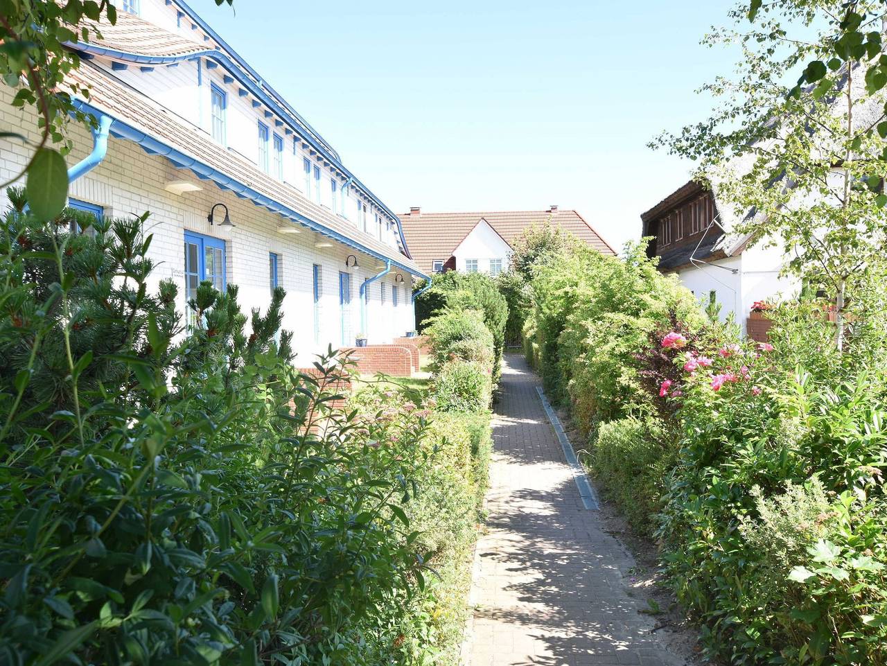 Ganze Ferienwohnung, Ferienwohnung Seeschwalbe im Birkenhof am Meer Ofc 09 - 4- Zimmer- Ferienwohnung in Börgerende, Börgerende-Rethwisch