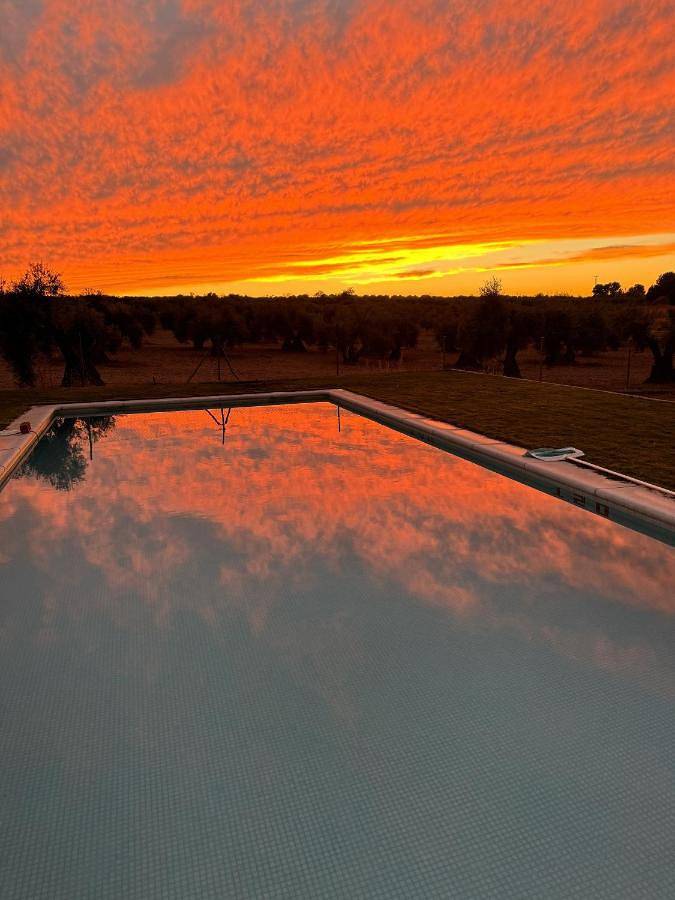 Casa rural para 10 personas, con piscina además de vistas y jardín, Se admiten mascotas en Burguillos de Toledo