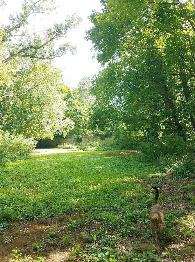 Gîte pour 2 personnes, avec jardin à Seine-Port - 2