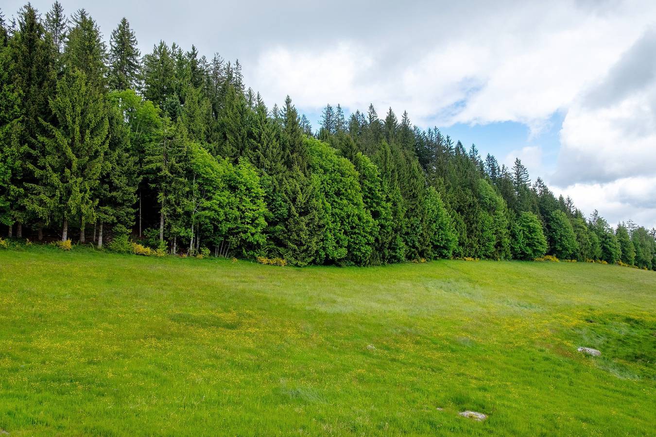 Ganze Wohnung, Apartment Sonnenblick mit Südbalkon, Bergblick, Gemeinschaftsgarten & Wlan in Schonach, Südschwarzwald