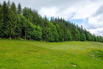 Bauernhof für 4 Personen in Schonach, Hochschwarzwald, Bild 4