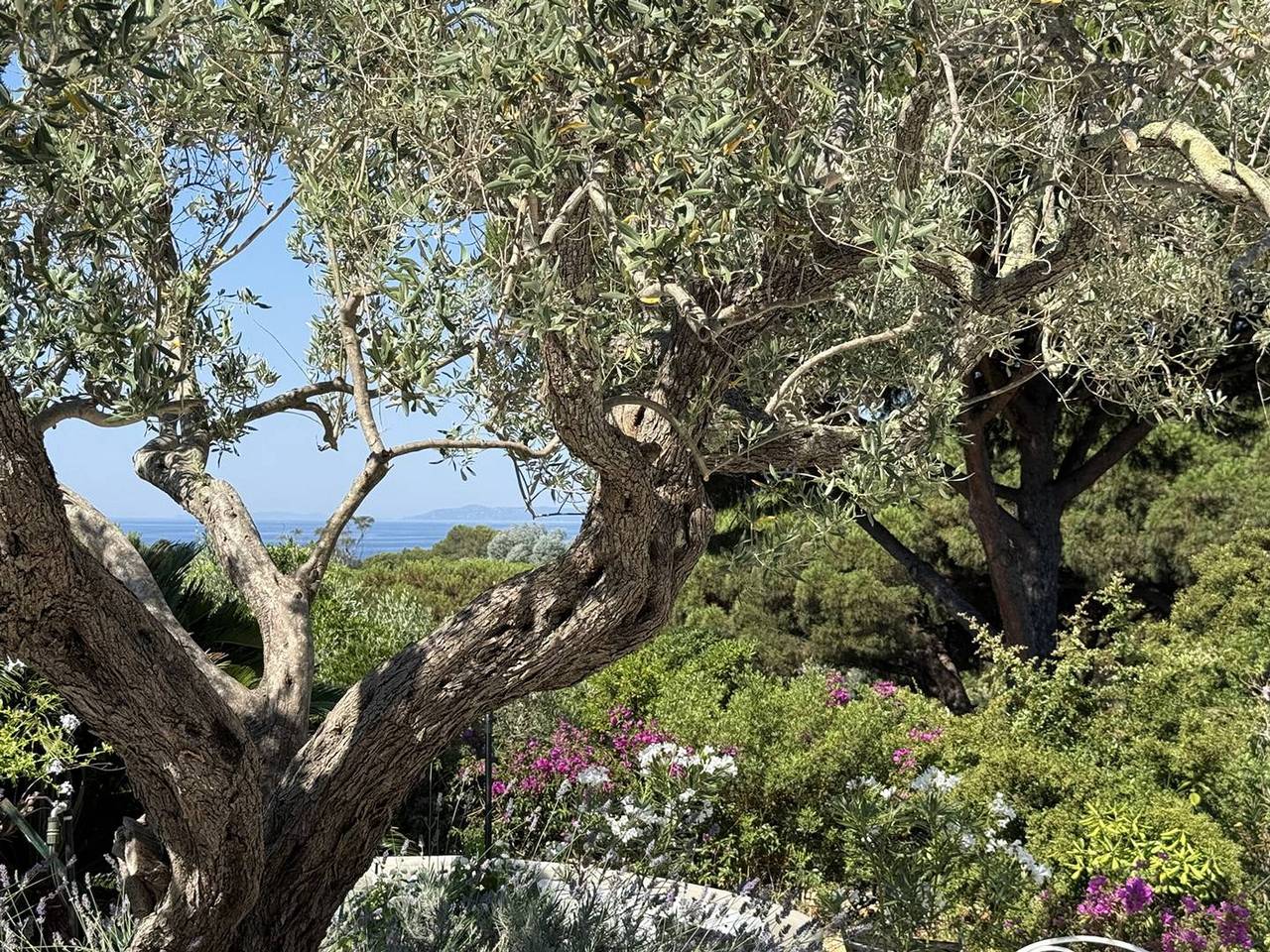 Luxus-Mas 200m vom Gigaro Strand, 3 Klimazimmer, nahe St-Tropez in Gigaro, La Croix-Valmer