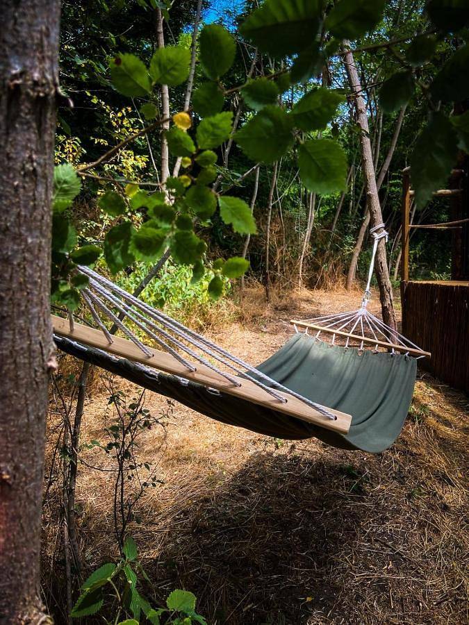 Gîte pour 2 personnes, avec jardin et vue à Monts-sur-Guesnes - 4