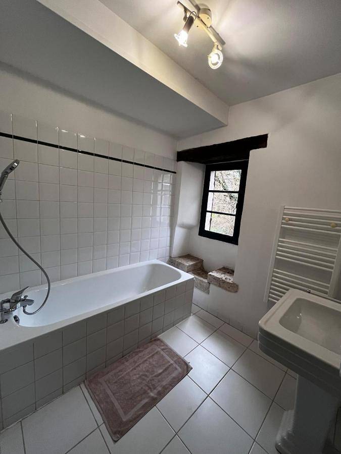 Location de vacances pour 18 personnes, avec piscine et jardin, animaux acceptés à Lalandusse - 4