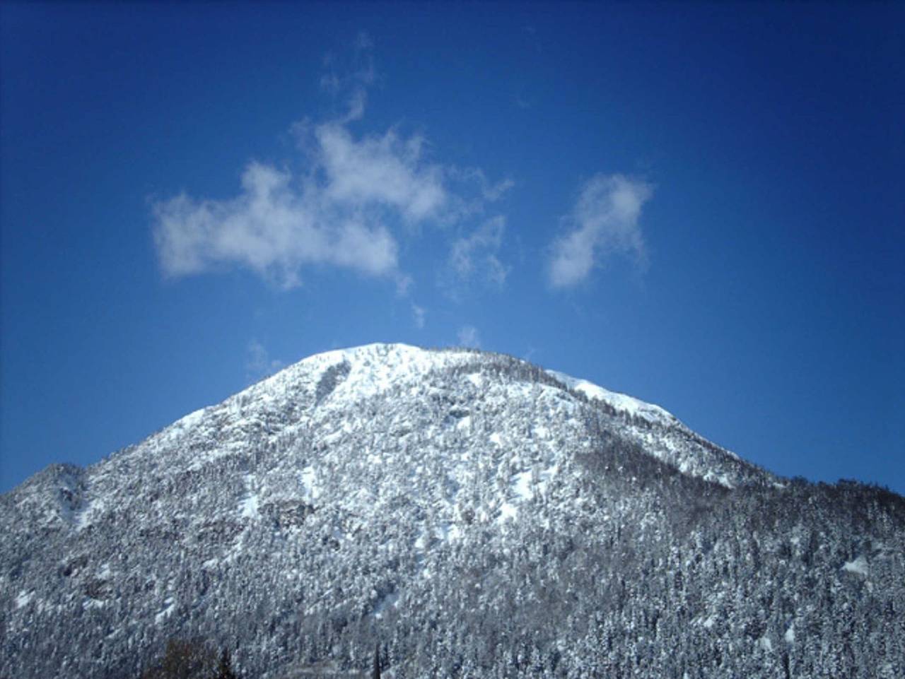 Ganze Ferienwohnung, Appartements Seerose - Ferienwohnung 2 in Pertisau, Eben am Achensee