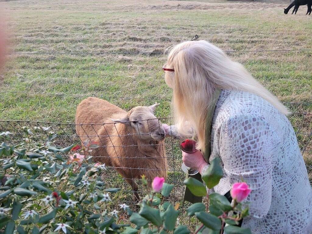 Roomy entire private lower level of log cabin on Green River, 6 min to Tiec. in Polk County NC