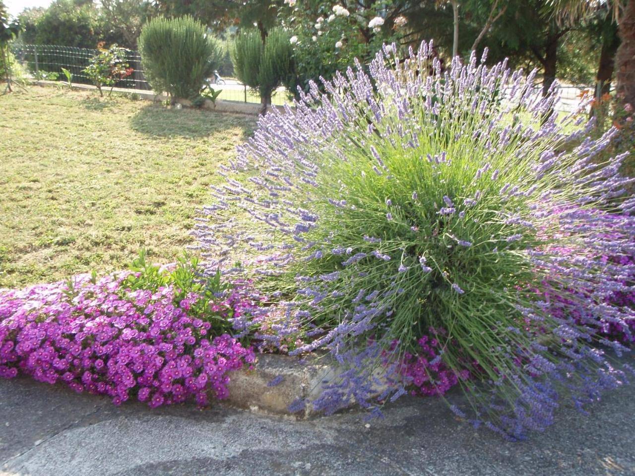 Guest House Jasmin in Rovinj (Kroatische Adria), Rovinj
