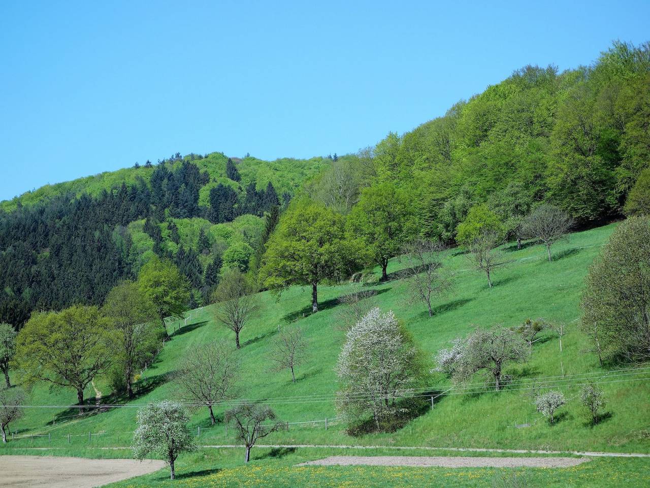 Ganze Ferienwohnung, Ferienwohnung Braun - Ferienhaus Grassertblick in Seelbach, Mittlerer Schwarzwald