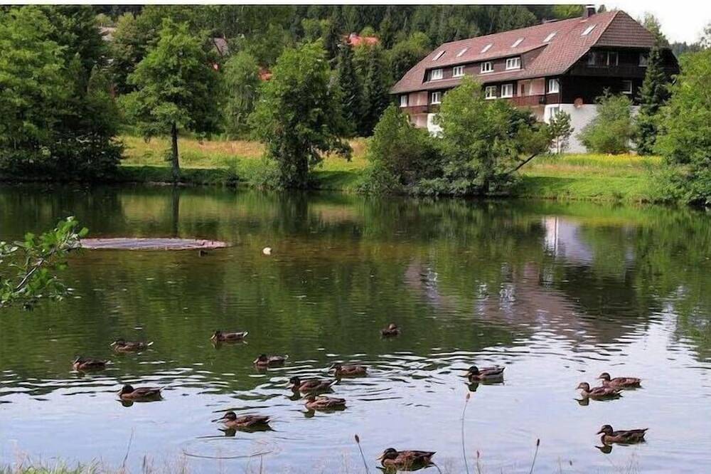 Ferienwohnung mit 1 Schlafzimmer in Herrischried, Südschwarzwald