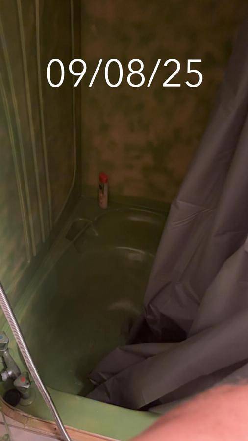 Location de vacances pour 6 personnes, avec vue et jardin, animaux acceptés à Le Plessis-Lastelle - 3