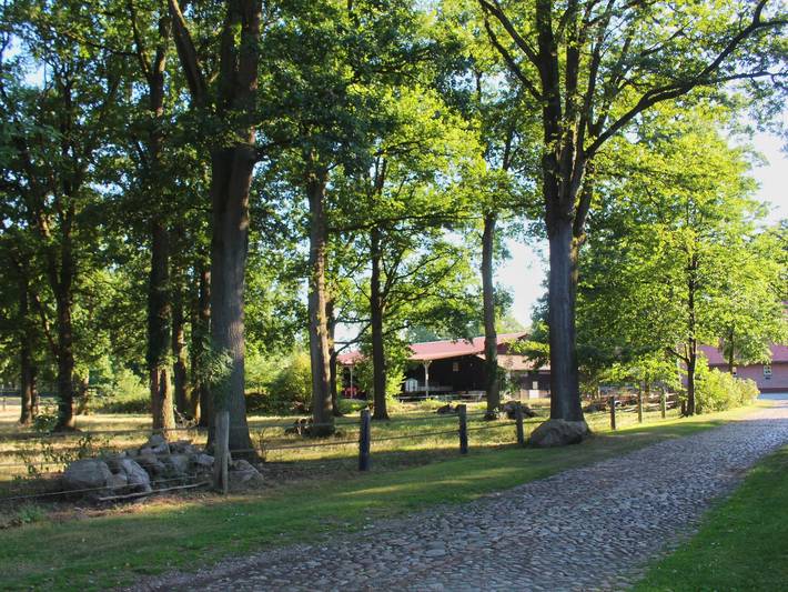 Ferienhaus für 2 Personen, mit Terrasse und Garten in Niedersachsen - 3