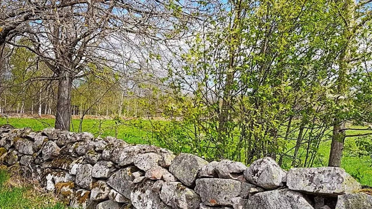 Ferienhaus für 4 Personen (60 m²) in Väckelsång in Kronobergs