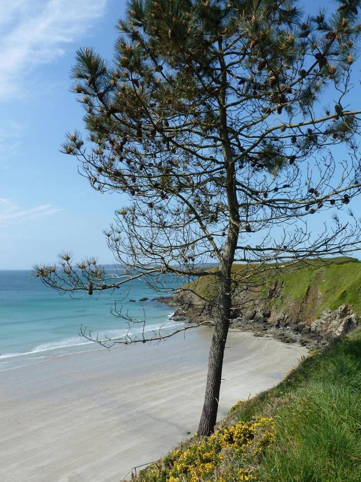 Maison de vacances pour 2 personnes, avec vue et jardin en France - 3