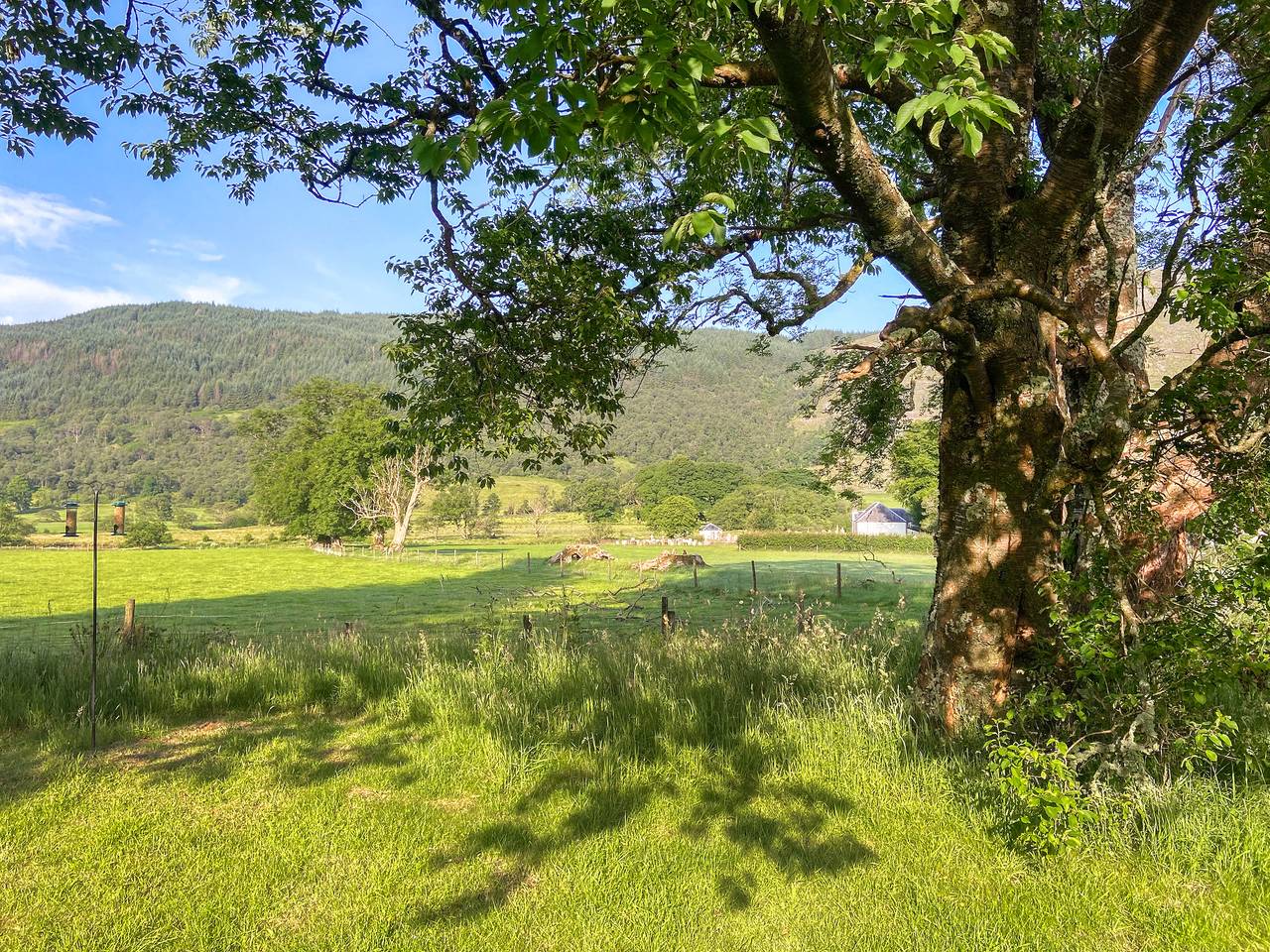 Cottage für 2 Personen mit Garten in Argyll & Bute