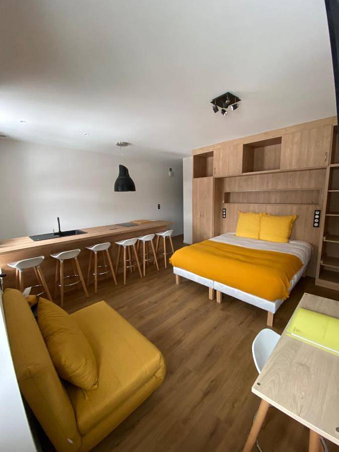 Hôtel pour 5 personnes, avec vue ainsi que jardin et vue sur le lac, animaux acceptés dans Lac Chambon - 4