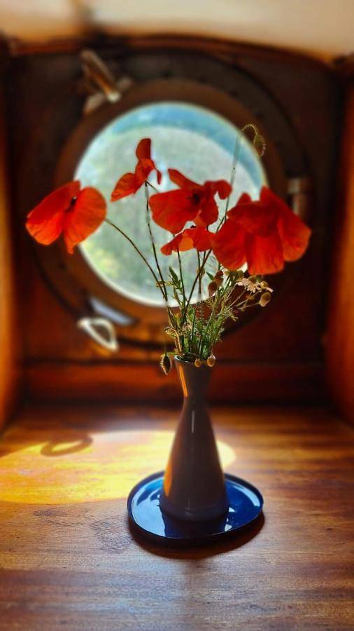 Chambre d’hôte pour 3 personnes, avec terrasse et vue à Châlons-en-Champagne - 4