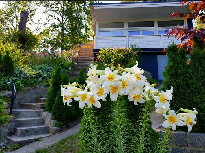 Ferienhaus für 2 Personen, mit Garten und Terrasse, mit Haustier in Havelland - 3
