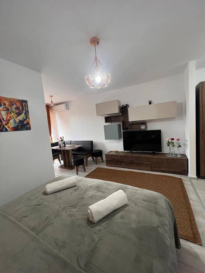Chambre d’hôte pour 2 personnes, avec terrasse à Bucarest - 2