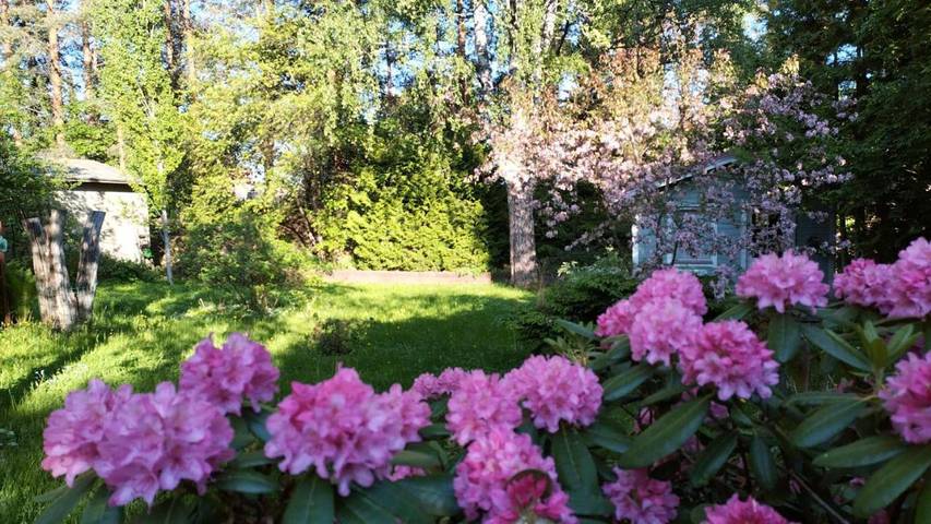 Ferienwohnung für 4 Personen, mit Sauna und Garten sowie Ausblick - 1
