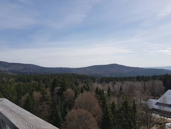 Ferienhaus für 2 Personen, mit Balkon und Garten in Landkreis Freyung-Grafenau - 4