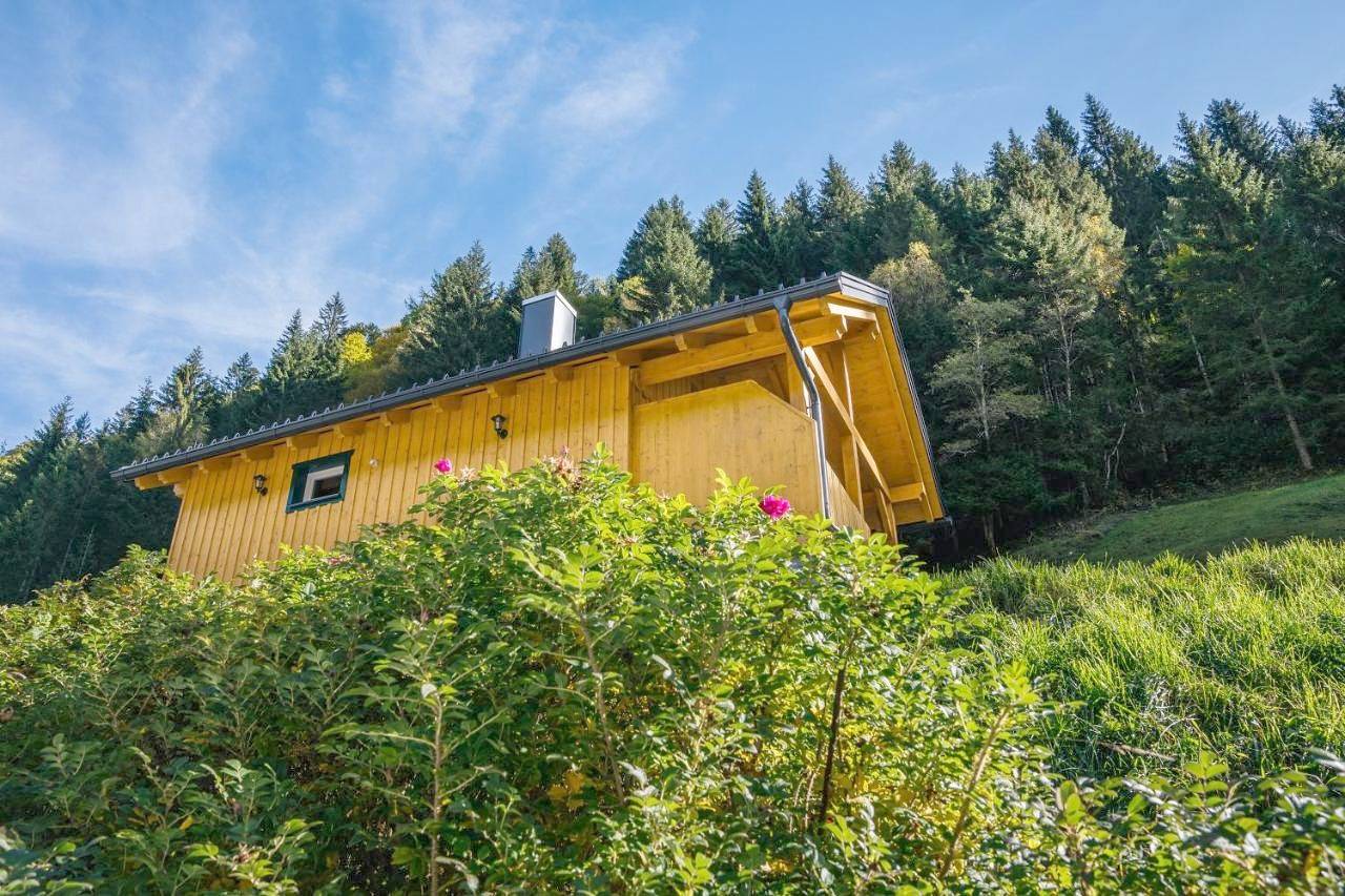 Holiday Home in Rottenmanner und Wölzer Tauern, Irdning-Donnersbachtal