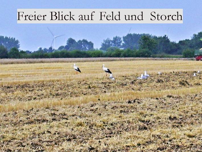 Ferienwohnung für 3 Personen, mit Balkon in Grube - 4