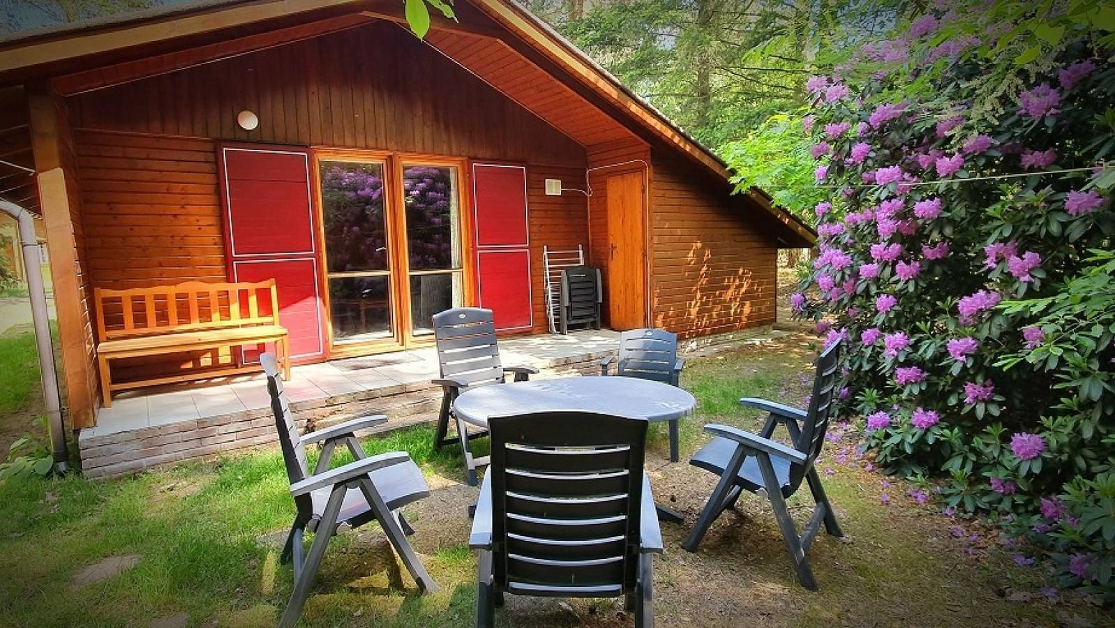 Gemütlich vier Personen Bungalow in Neede, Achterhoek