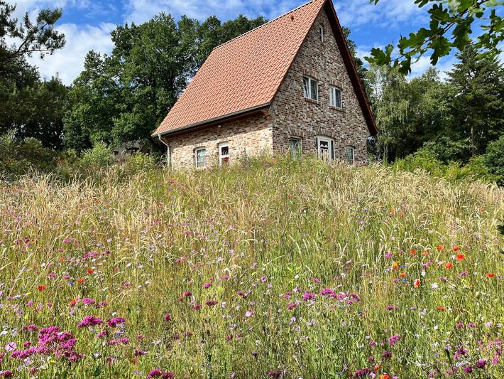 Ferienhaus für 4 Personen, mit Terrasse und Garten sowie Sauna in Landkreis Heidekreis - 2