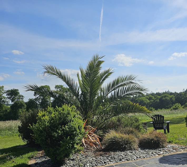 Ty elan in Landivisiau, Región de Morlaix
