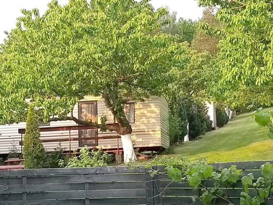 Czereśniowy Sad in Wisełka, Stettiner Haff