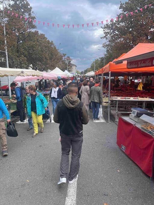 Gîte pour 6 personnes, avec terrasse ainsi que vue et jardin à Prévessin-Moëns - 3