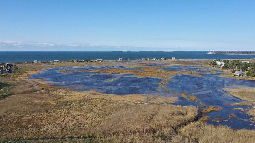 Vacation rental for 9 people, with yard and terrace, with pets in Eastham
