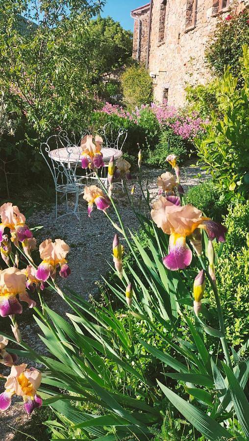Chambre d’hôte pour 5 personnes, avec terrasse ainsi que piscine et vue dans Hautes-Alpe - 2