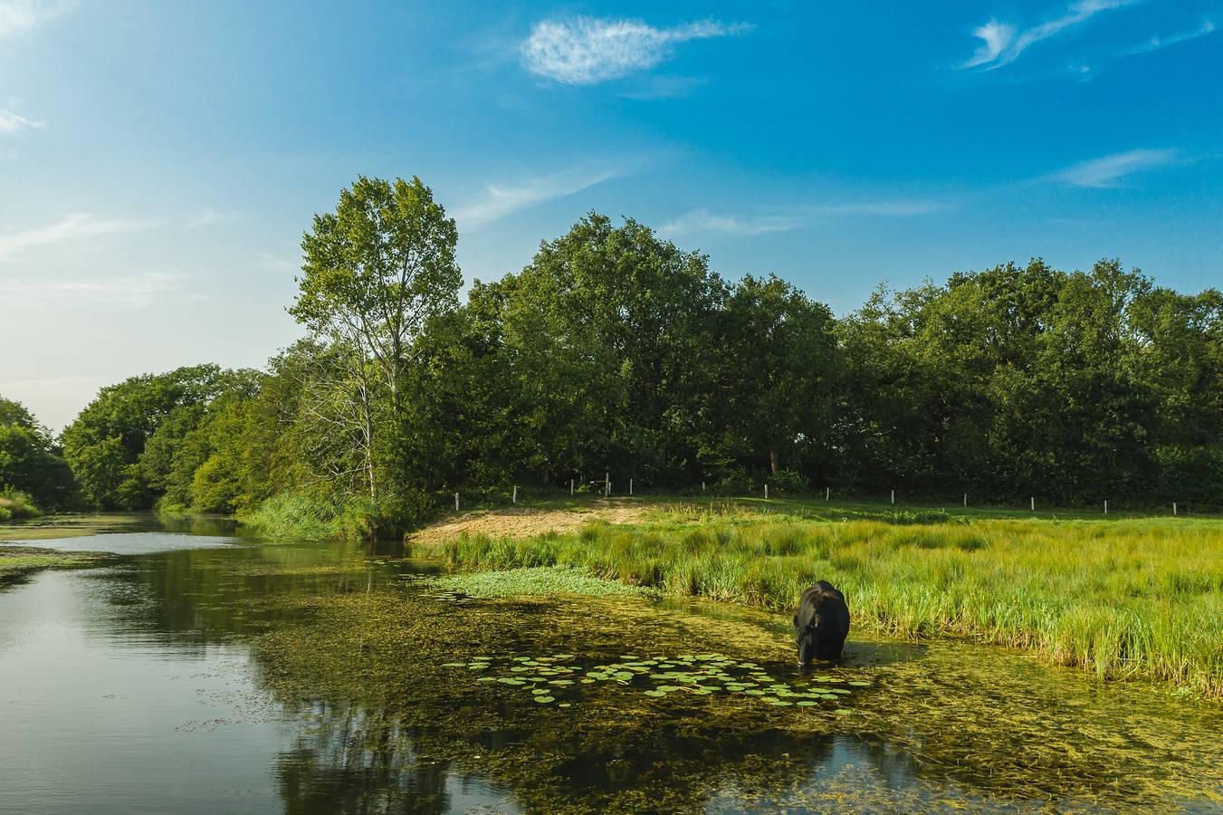 Erve Woolderink — Reggehooiberg in Wierden, Twente