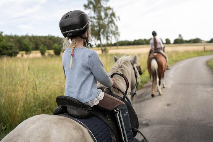 Bauernhof für 2 Personen, mit Sauna und Garten sowie Pool, kinderfreundlich in Oberfranken - 4