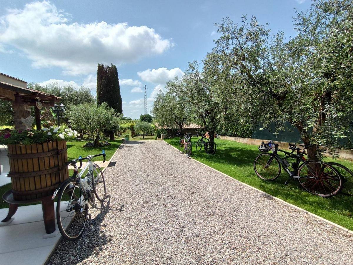 Le Zampolle B & B in Lazise, Gardasee-Berge
