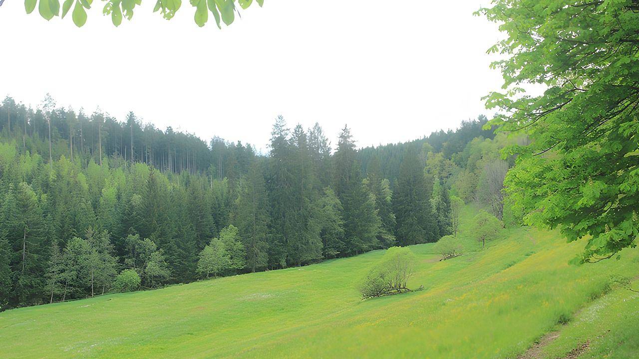 Mehrbettzimmer für 3 Personen in Pfalzgrafenweiler in Pfalzgrafenweiler, Nordschwarzwald