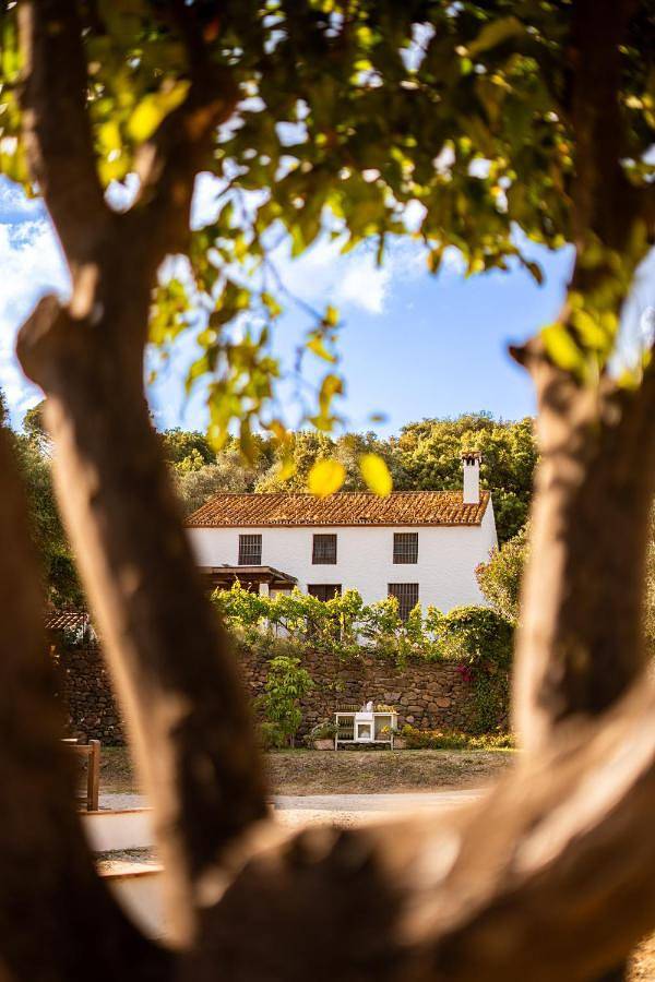 Four-Bedroom House in Sierra (Casares), Casares