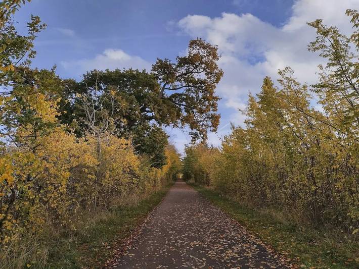Ferienhaus für 3 Personen, mit Garten, kinderfreundlich in Kerteminde - 2