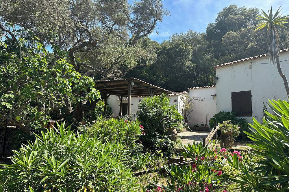 Casa con los pies en el agua in Coti-Chiavari, Region de Ajaccio