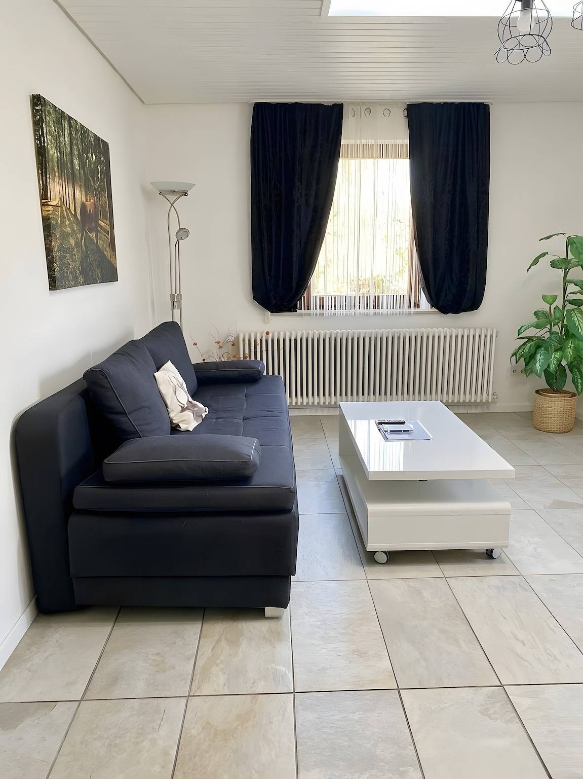 Ganze Wohnung, Ferienwohnung Schwarzwaldglück St. Blasien im Schwarzwald mit Gemeinschaftsgarten und Wi-Fi in St. Blasien, Südschwarzwald