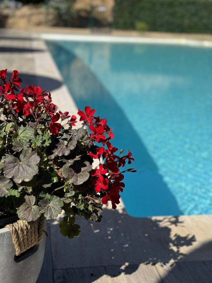 Gîte pour 6 personnes, avec jardin ainsi que terrasse et piscine à Sartène - 4